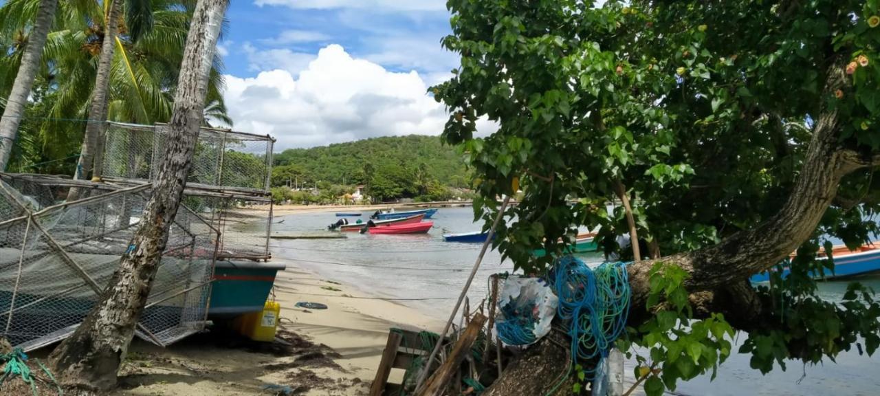 Flamboyant De La Baie Daire La Trinité Dış mekan fotoğraf